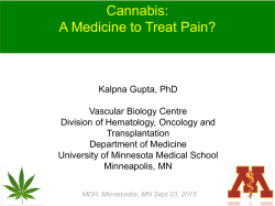 Cannabis: A Medicine to Treat Pain? (PDF)
