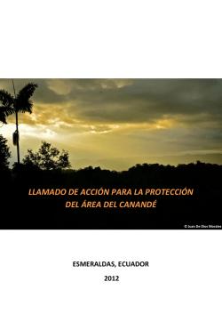 Call for action to conserve the Ecuadorian Chocoan Rainforest [PDF 1.98MB]