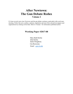 After Newtown: &nbsp;The Gun Debate Redux Vol. 2