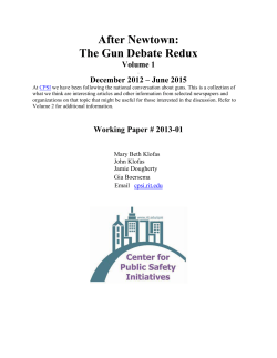 After Newtown: The Gun Debate Redux&nbsp;Vol. 1