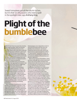 New Scientist [PDF 643.99KB]
