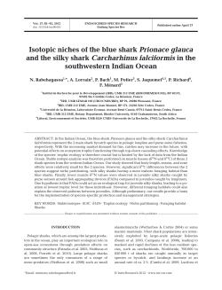 Full text in pdf format