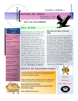 November newsletter 2014 spanish
