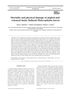 Full text in pdf format