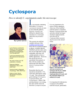 How to Identify Cyclospora cayetanensis Under the Microscope (PDF)