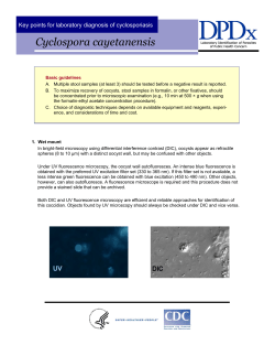 Cyclospora cayetanensis (PDF)