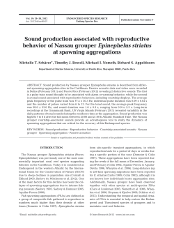 Full text in pdf format