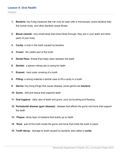 Lesson 4 Activities (PDF:848 KB/9 pages)