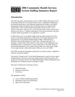 2006 Community Health Services System Staffing Summary Report (PDF)