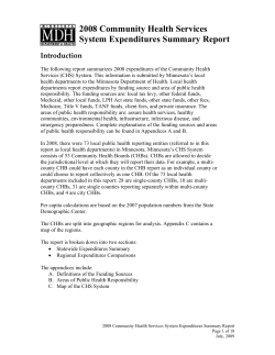 2008 Community Health Services System Expenditures Summary Report (PDF)