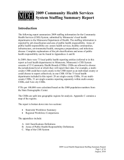 2009 Community Health Services System Staffing Summary Report (PDF)