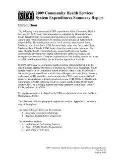 2009 Community Health Services System Expenditures Summary Report (PDF)