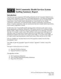 2010 Community Health Services System Staffing Summary Report (PDF)