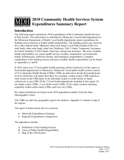 2010 Community Health Services System Expenditures Summary Report (PDF)