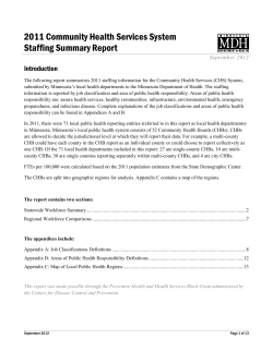 2011 Community Health Services System Staffing Summary Report (PDF)