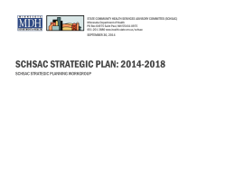 SCHSAC Strategic Plan 2014-2018