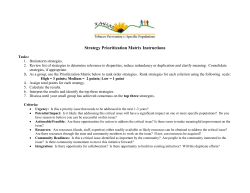 Strategy Prioritization Matrix (DOC)