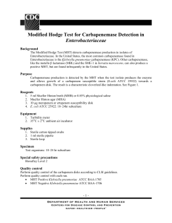 Modified Hodge Test for Carbapenemase Detection in Enterobacteriaceae (PDF)