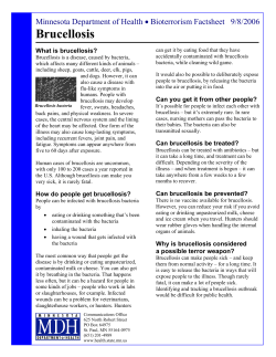 Brucellosis - English (PDF: 203KB/2 pages)