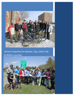 Active Living Plan for Becker, Clay, Otter Tail, and Wilkin Counties 2013