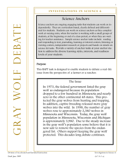Gray Wolf Debate