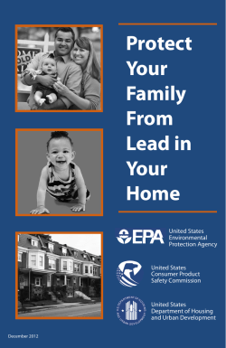 Protect Your Family from Lead in Your Home (PDF: 1.590KB/19 pages)