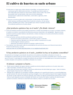 El cultivo de huertos en suelo urbano