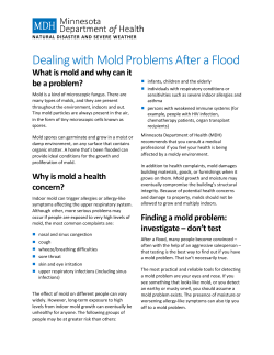 Dealing with Mold Problems after a Flood (PDF)