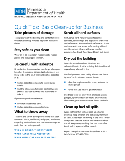 Basic Clean-up for Business (PDF)
