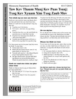 Hmong : Basic Food Safety (PDF)