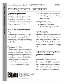 Tibetan : Basic Clean-Up (PDF)