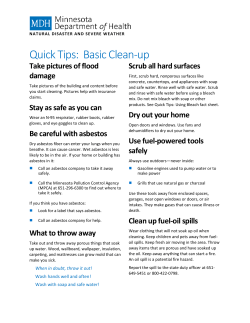 Basic Clean-Up (PDF)