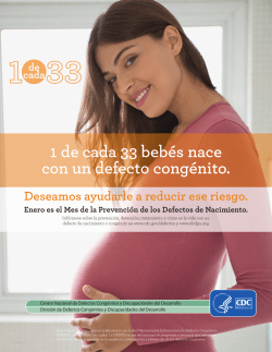 Spanish (PDF)