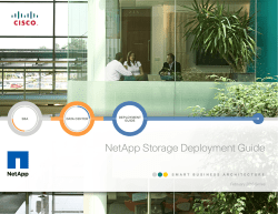 NetApp Storage Deployment Guide