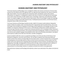 Human Anatomy and Physiology