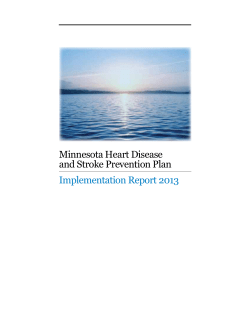 Implementation Report 2013 (PDF)