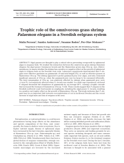 Full text in pdf format