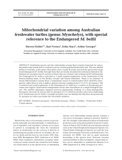 Full text in pdf format