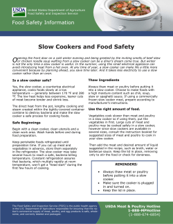 Slow Cooker Safety