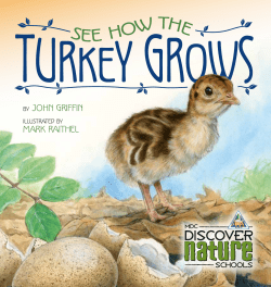 Grades K-2 Student Book