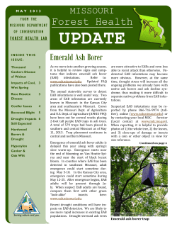 Missouri Forest Health Update, May 2013