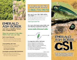 Emerald Ash Borer CSI