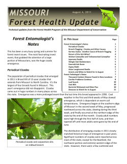 Missouri Forest Health Update, August 2011