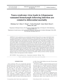 Full text in pdf format