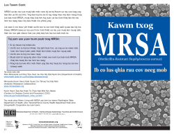 Hmong (PDF: 354KB/6 pages)