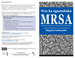 Somali (PDF: 516KB/6 pages)