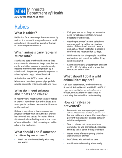 Minnesota's Rabies Facts (PDF: 27KB/2 pages)