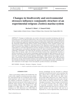 Full text in pdf format