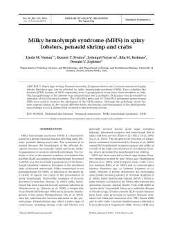 Full text in pdf format