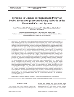 Full text in pdf format